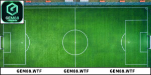 Tiêu Chuẩn Football Pitch Và Ảnh Hưởng Đến Hiệu Suất Thi Đấu